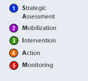 Calgary Business Consulting, Strategic Assessment, Mobilization, Intervention, Action, Monitoring.